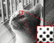 Archivo:Halftone example black and white