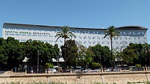 Archivo:Hospital General Reina Sofia, Murcia, Spain, 2014