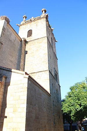 Archivo:Iglesia de Nuestra Señora de la Asunción 3