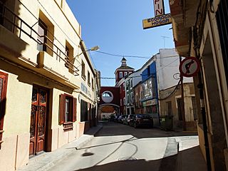 Imágenes de Motilla Palancar 10.jpg