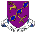 Killarney coat of arms