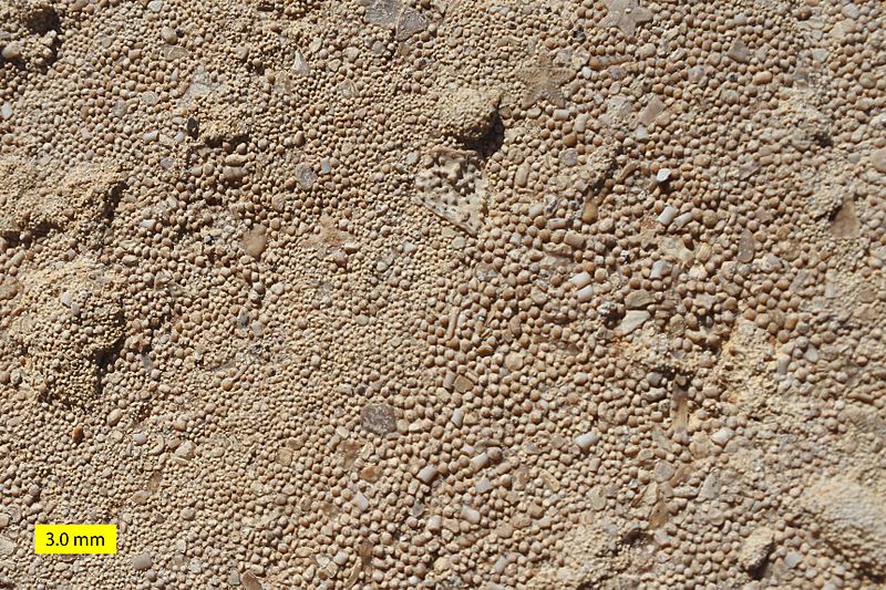 Ooids Carmel Formation Jurassic