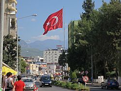 Osmaniye flag.JPG