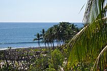 Archivo:Palms El Salvador