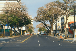 Archivo:Paseo Colon SJO