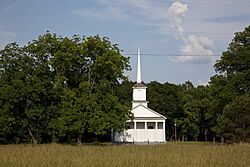 Pickensville, Alabama LCCN2010640104.jpg