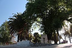 Plaza de Armas comuna de Pumanque, Sexta Región, Chile.jpg