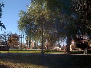 Archivo:Plaza de Tupungato