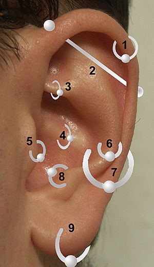 Archivo:Positions of earrings