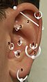 Positions of earrings