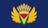 Presidential Standard of Guyana - President Irfaan Ali.svg