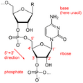 RNA chemical structure