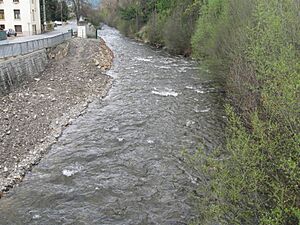 Archivo:Rio Reür