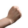 Rock-paper-scissors (rock)