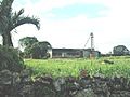 San Francisco (Tixkokob), Yucatán (04)
