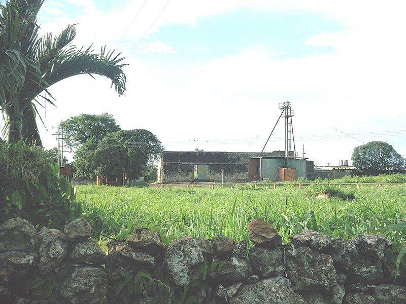 San Francisco (Tixkokob), Yucatán (04)