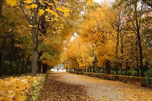 Archivo:Schönbrunn Gardens in autumn