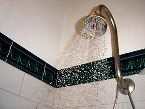 Archivo:Showerhead