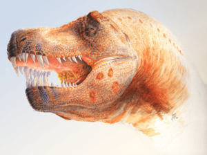 Archivo:T. rex infection