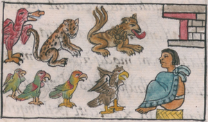 Archivo:Totocall - zoológico de Tenochtitlán, en el folio 30v del libro VIII