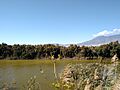 Visita a la Cañada de las Norias, El Ejido, Almería 20201107 003