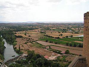 Archivo:Vista desde el Castillo de Alcañiz