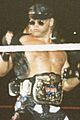 WWE - Wembley Arena 140994 (12) (cropped)