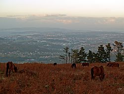 Archivo:Égoas en Monte Xalo