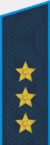 Погон генерал-полковника ВВС с 2010 года.png