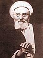 میرزا محمود