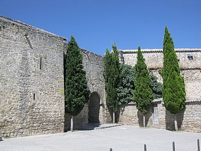 096 Puerta de Granada