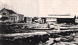 Archivo:Aduana de Arica tras el terremoto de Iquique de 1877