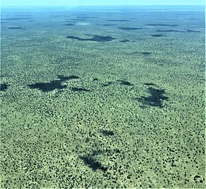Archivo:Aerial view of Chobe National Park, Botswana