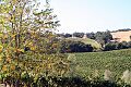 Alexandervalleyscenery