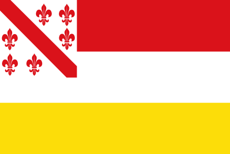Amerongen vlag