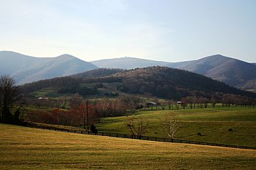 Archivo:Appleorchardmountain