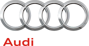 Audi logo detail