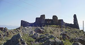 Archivo:Berdkunk fortress2
