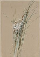 Bird's Nest in Cattails MET ap1989.261.2