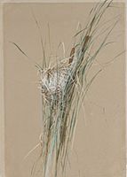 Bird's Nest in Cattails MET ap1989.261.2