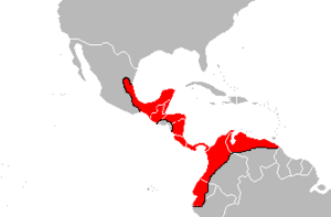 Archivo:Bothrops asper Area