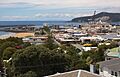 Burnie-20120203-002