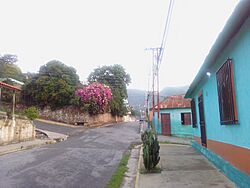 Calle comercio del sector Pozuelos en Puerto La Cruz, estado Anzoátegui, Venezuela.jpg