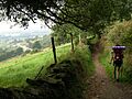 Camino Primitivo (1433111595)