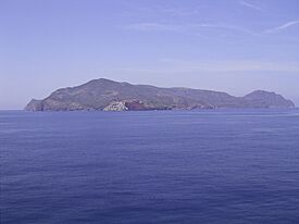 Capraia Island from sea.jpg