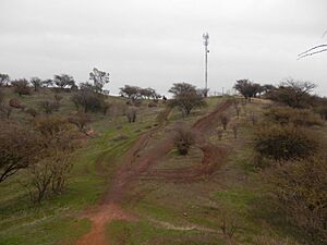 Archivo:Cerro San Juan Rengo