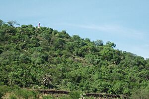 Archivo:Cerro de La Cruz