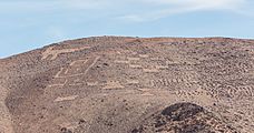 Cerros Pintados, Pampa del Tamarugal, Chile, 2016-02-11, DD 115