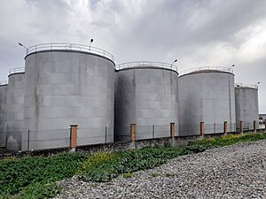 Archivo:Depósitos de aceite, Montoro