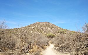 Archivo:El Bachoco trail
